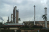Karnataka�s only fertilizer company to celebrate its golden jubilee